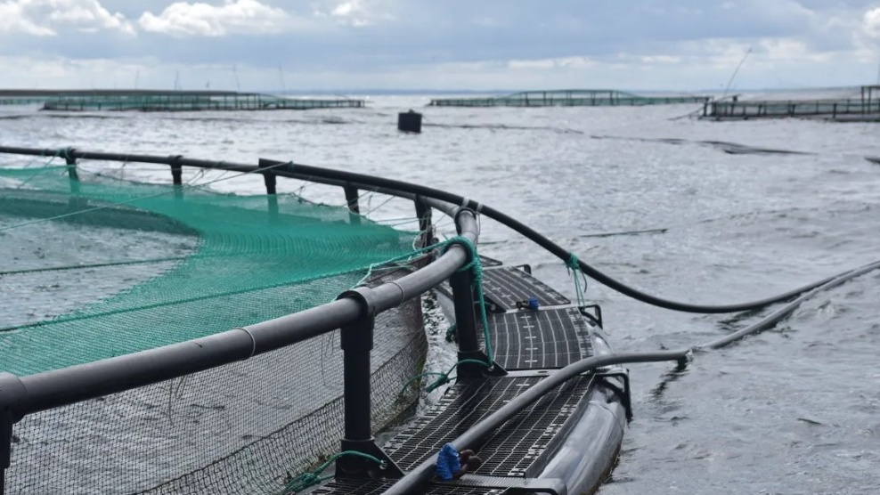 Første danske børsnotering på vej:
